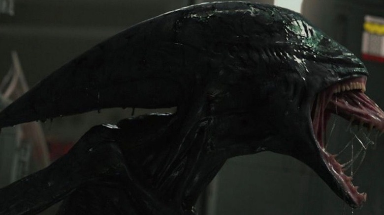 Every Version Of The Xenomorph Ranked Worst To Best