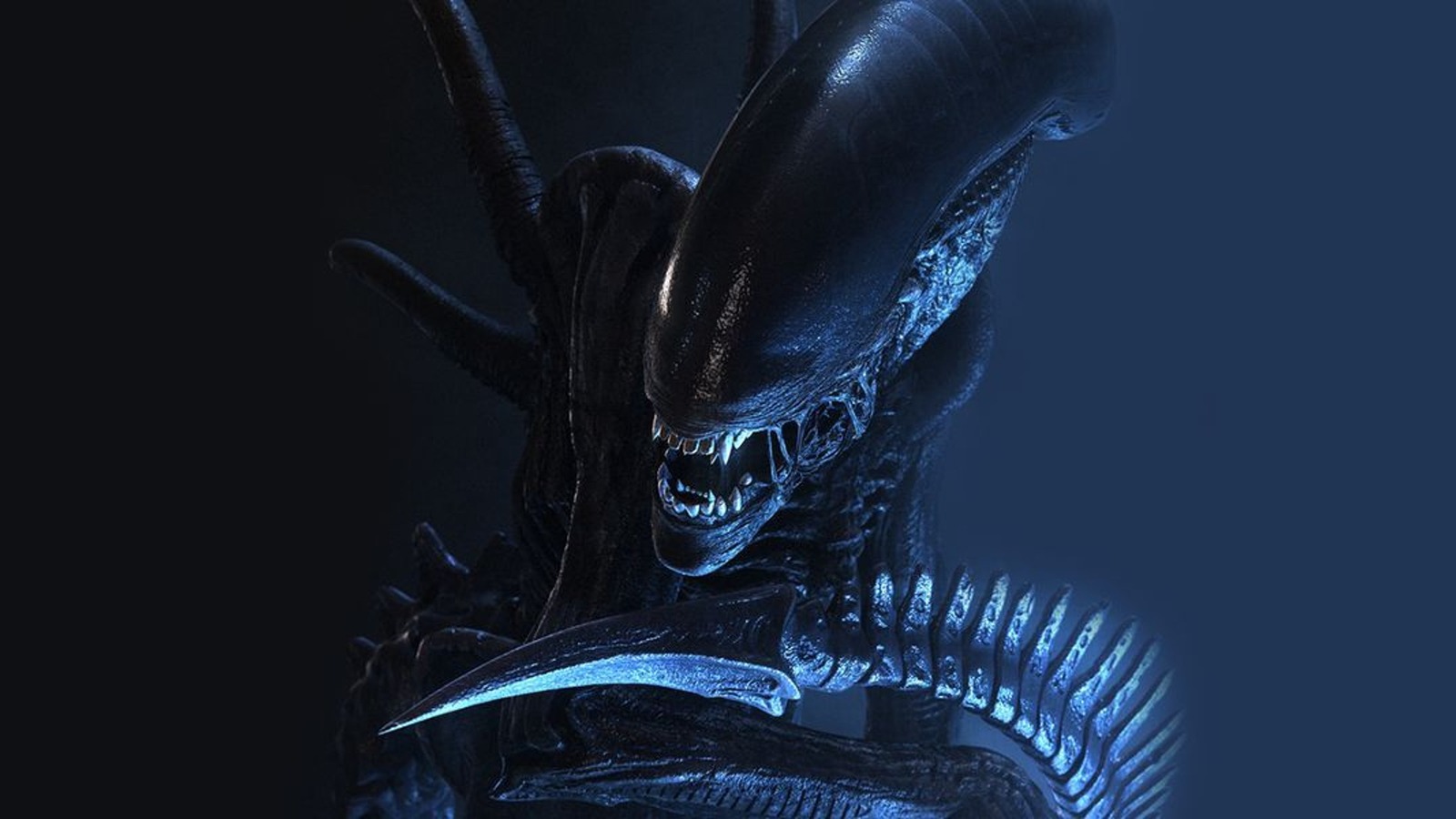 Every Version Of The Xenomorph Ranked Worst To Best