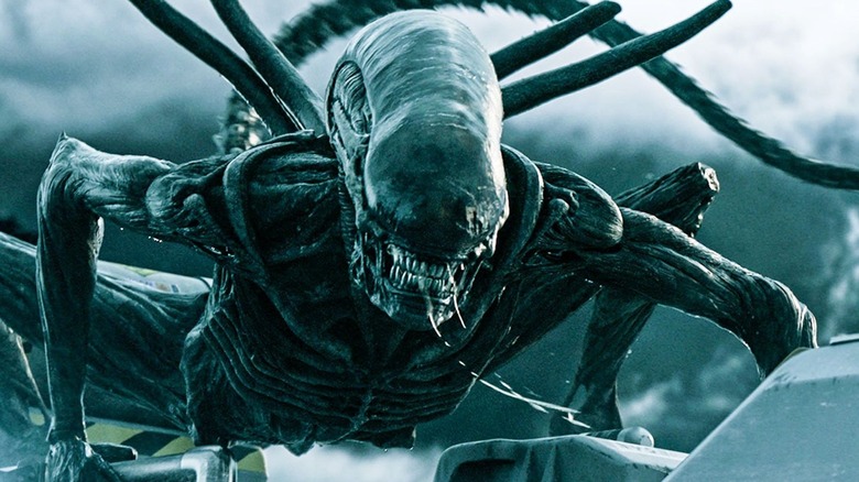 Every Version Of The Xenomorph Ranked Worst To Best