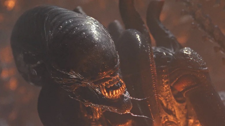 Every Version Of The Xenomorph Ranked Worst To Best