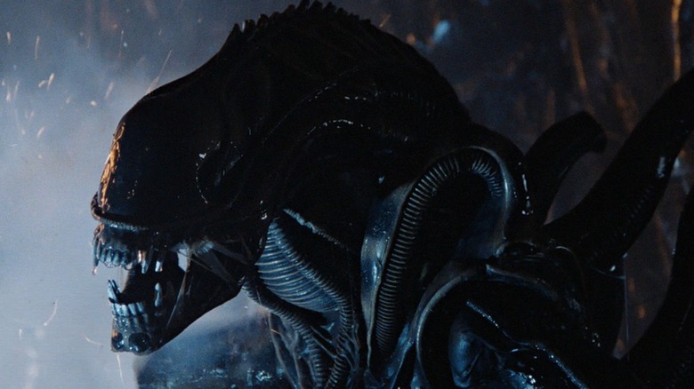 Every Version Of The Xenomorph Ranked Worst To Best