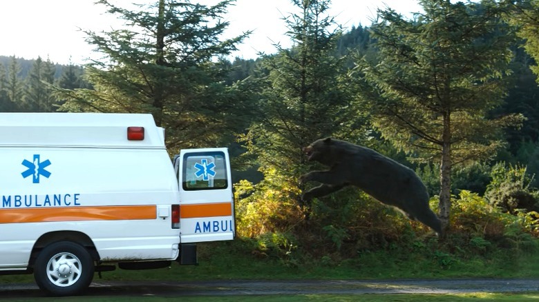 Cocaine Bear runs after ambulance