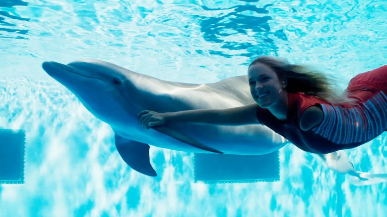 Still from Dolphin Tale 2