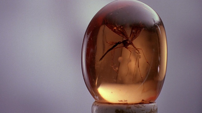 A mosquito trapped in amber