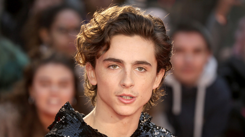 Timothée Chalamet on the red carpet