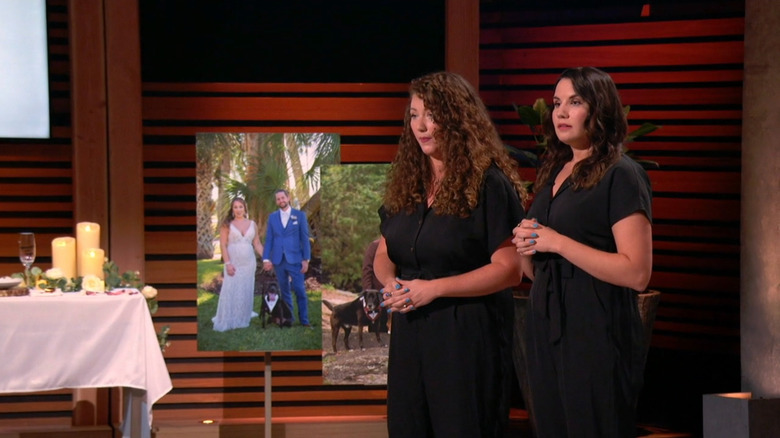 FairyTail Pet Care on Shark Tank