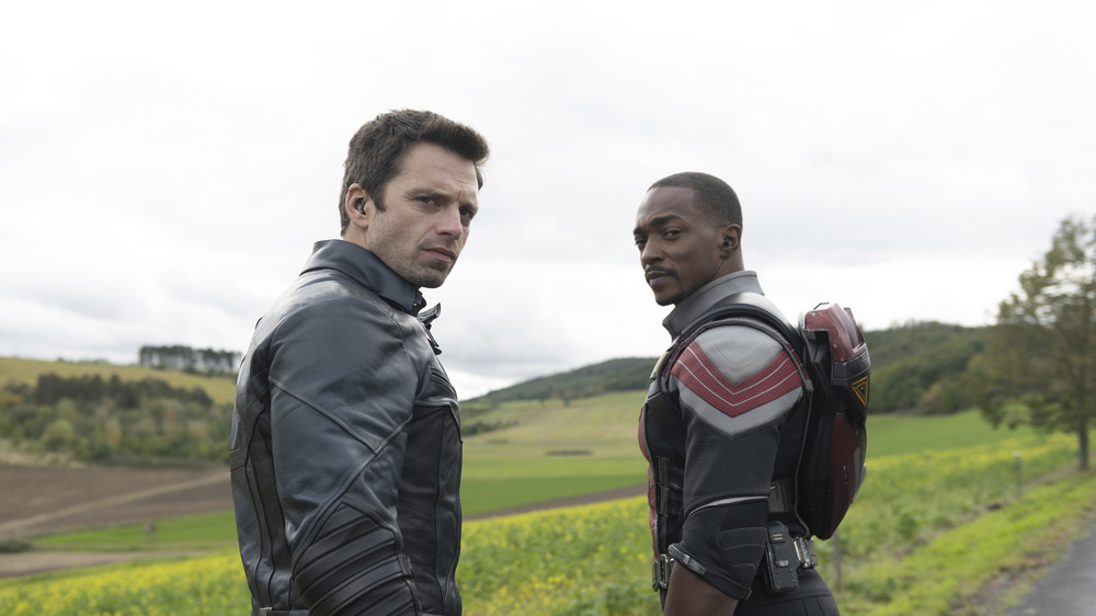 Sam and Bucky in a field