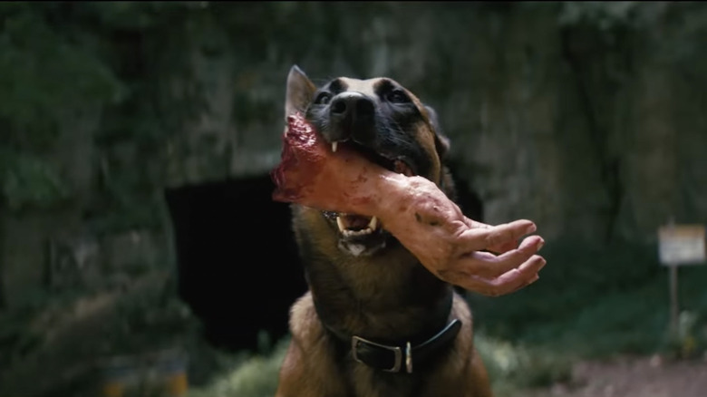 Dogmeat chewing hand