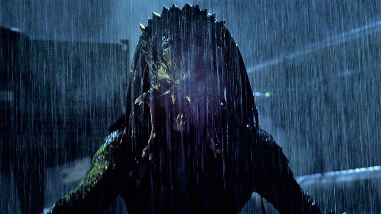 A Predator in the rain