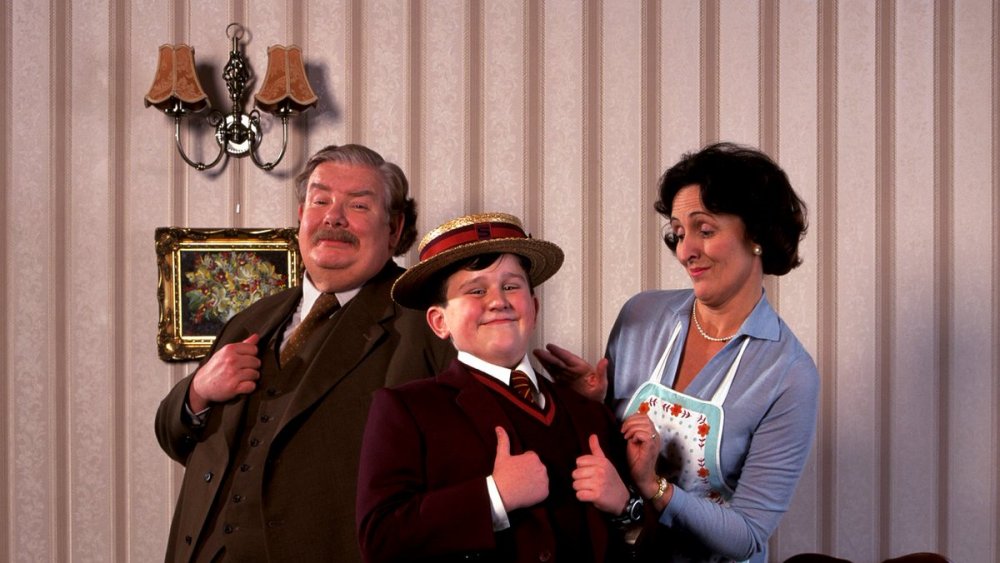 The Dursley family in Harry Potter and the Sorcerer's Stone