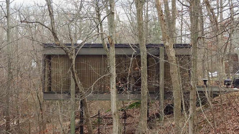 Cameron's house in the woods