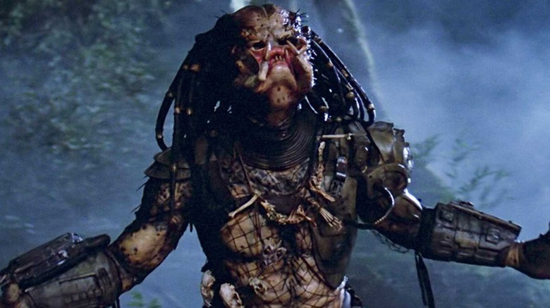 The Predator angry