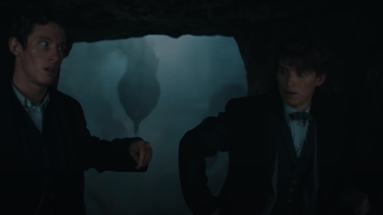 Theseus looking at Newt skeptically Fantastic Beasts