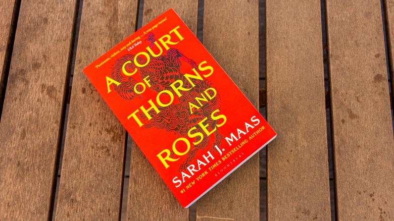 Sarah J. Maas' bestselling book