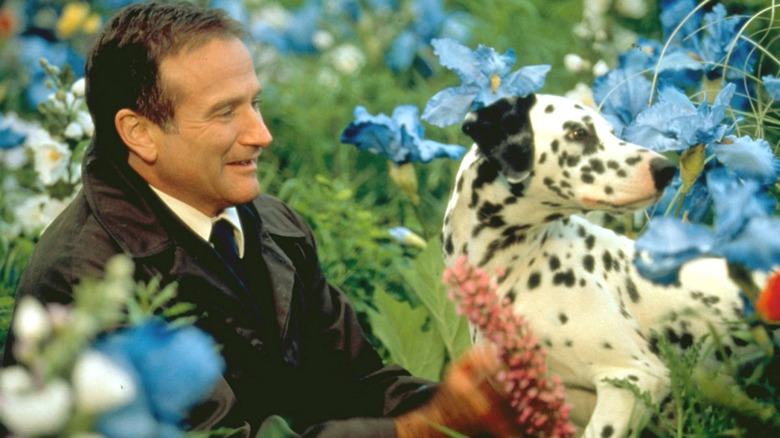 Chris Nielsen in meadow with dalmatian