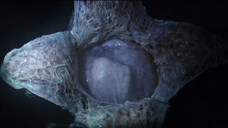 Xenomorph egg in the Alien series