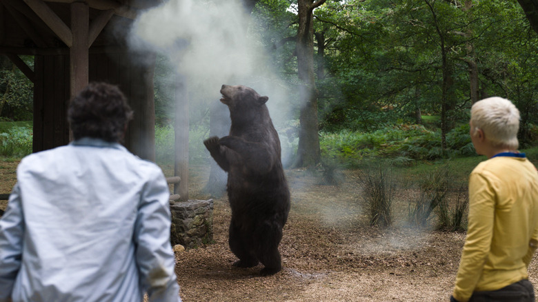 A bear inhales powder as men watch