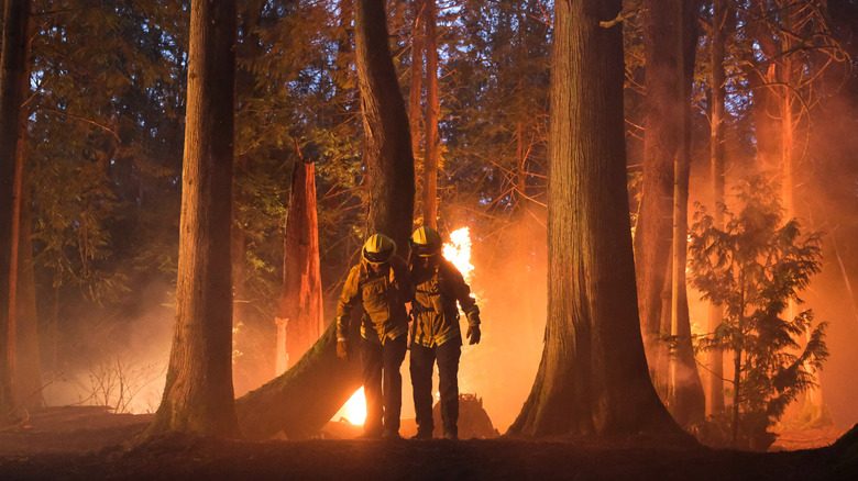 two firefighters, Fire Country
