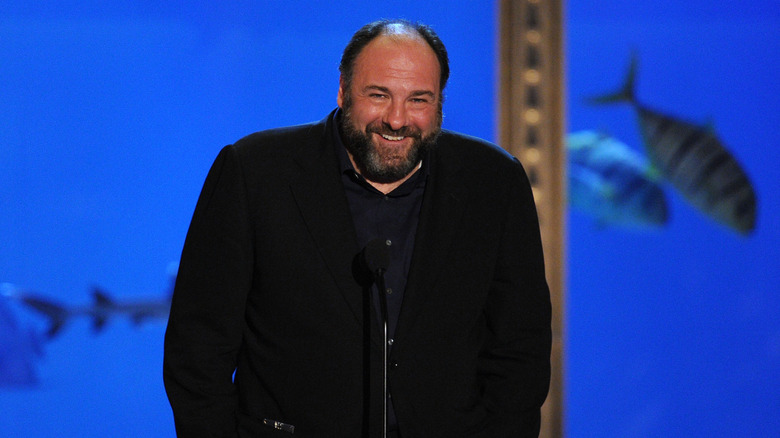 James Gandolfini speaks onstage