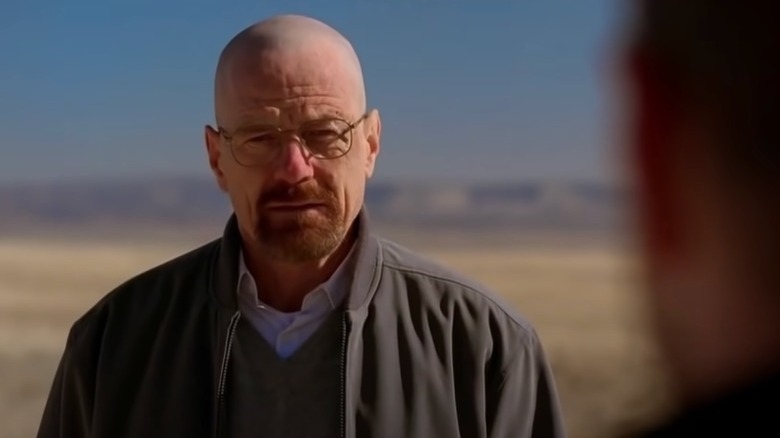 Bryan Cranston as Walter White