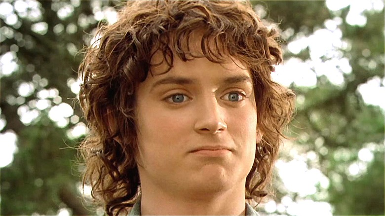 Frodo Baggins makes a face