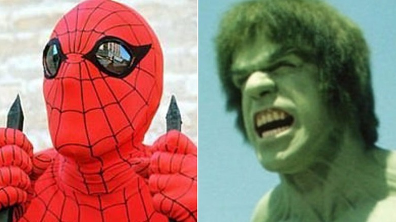 Spider-Man and the Hulk