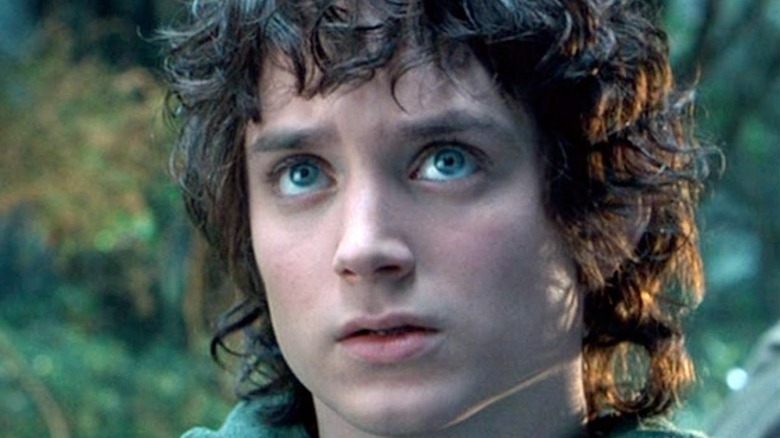 Frodo Baggins in Elvish cloak