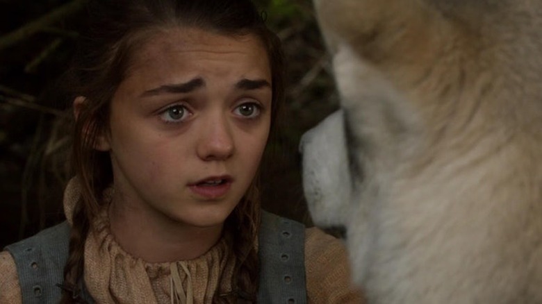 Arya Stark talks to Nymeria