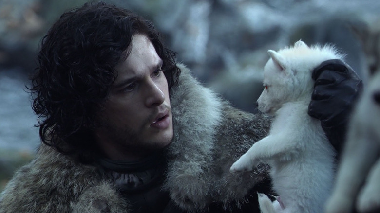 Jon Snow holds wolf puppy