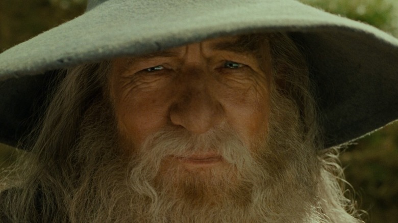 Gandalf meets Frodo in the Shire 