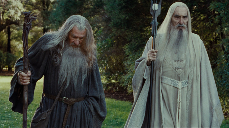 Gandalf walks with Saruman