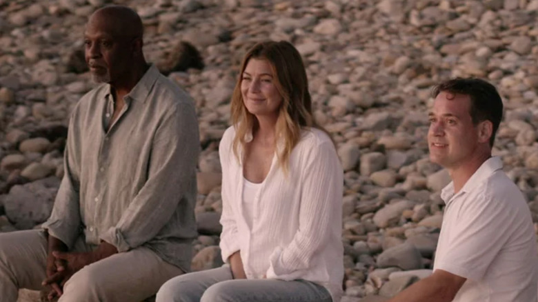 Webber, Meredith, and George on dream beach