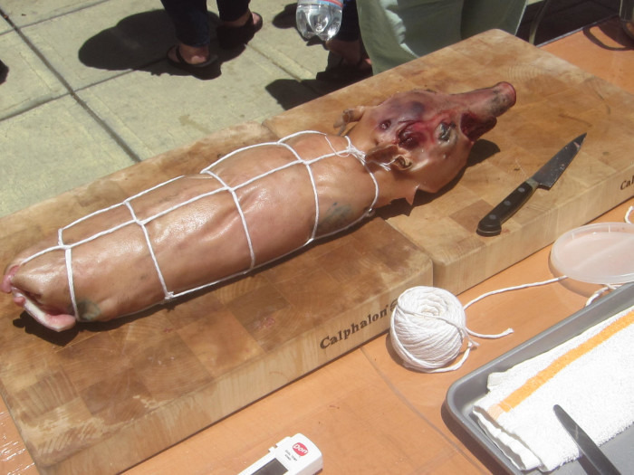 Trussed pig