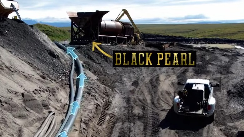 The black pearl wash plant