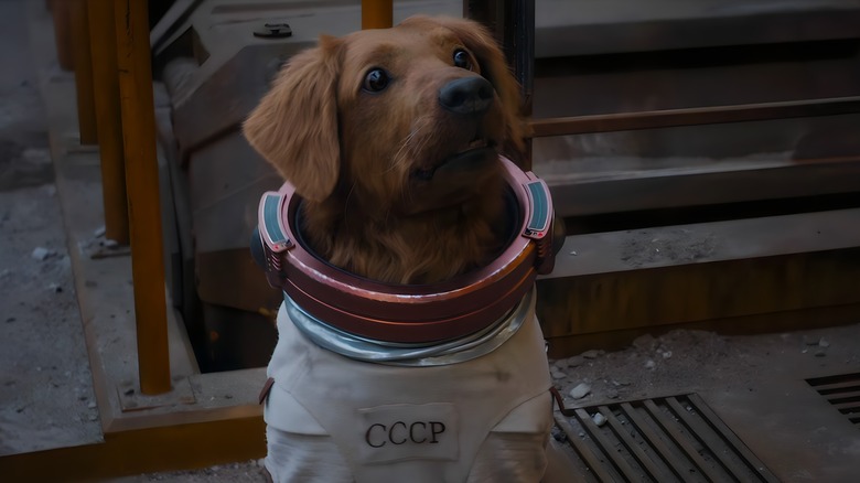 Cosmo the Spacedog wearing spacesuit