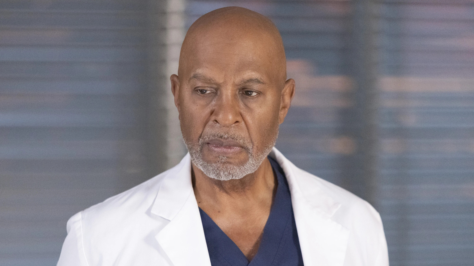 grey-s-anatomy-the-series-best-chief-of-surgery-according-to-fans