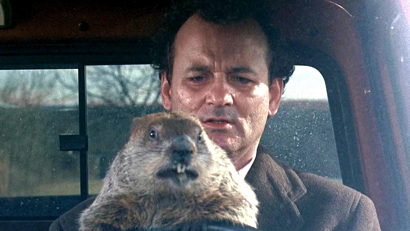 Groundhog Day: Bill Murray's Phil Was Stuck For Longer Than You Thought