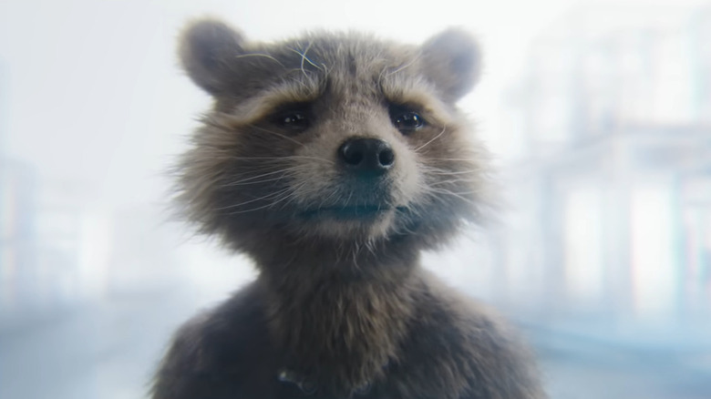 Rocket Raccoon sad