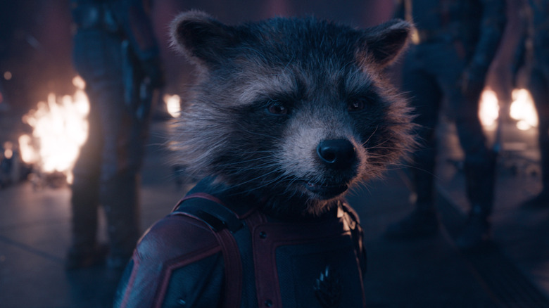 Rocket wearing uniform