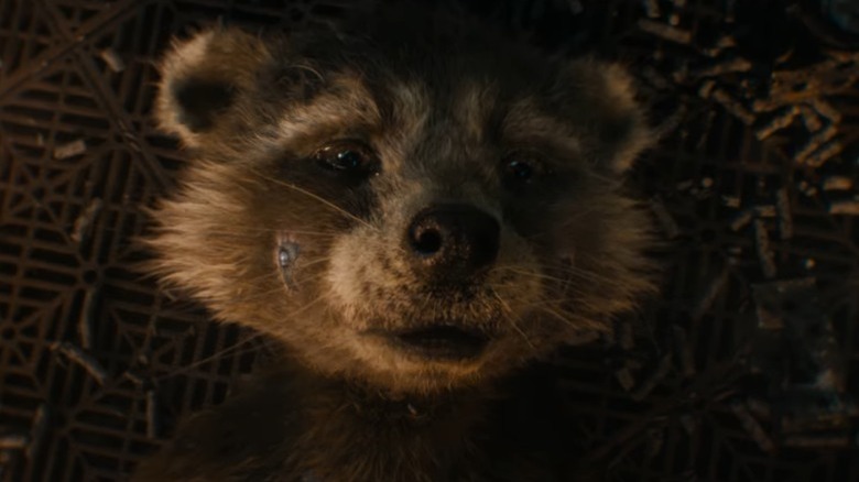 Rocket Raccoon looking concerned