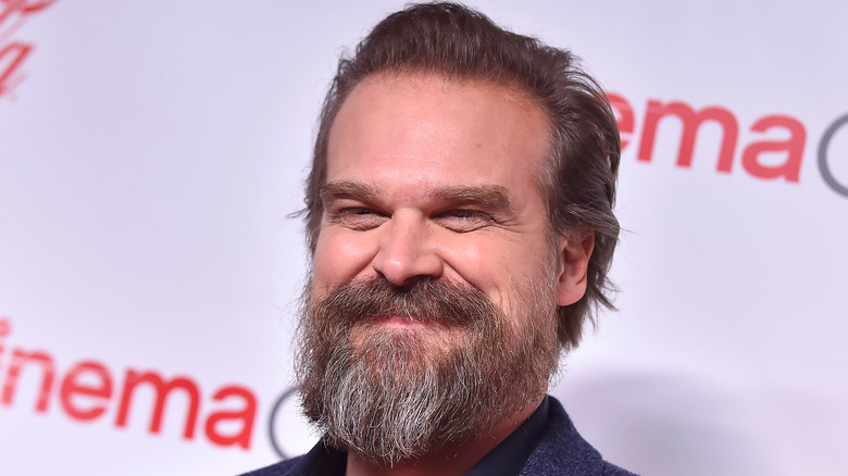 David Harbour grins through his beard