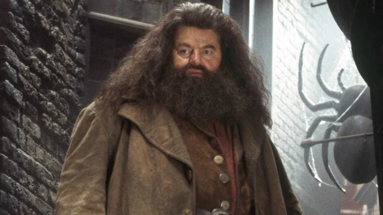 hagrid's 'dead head' in harry potter was already horrifying - then it came to life