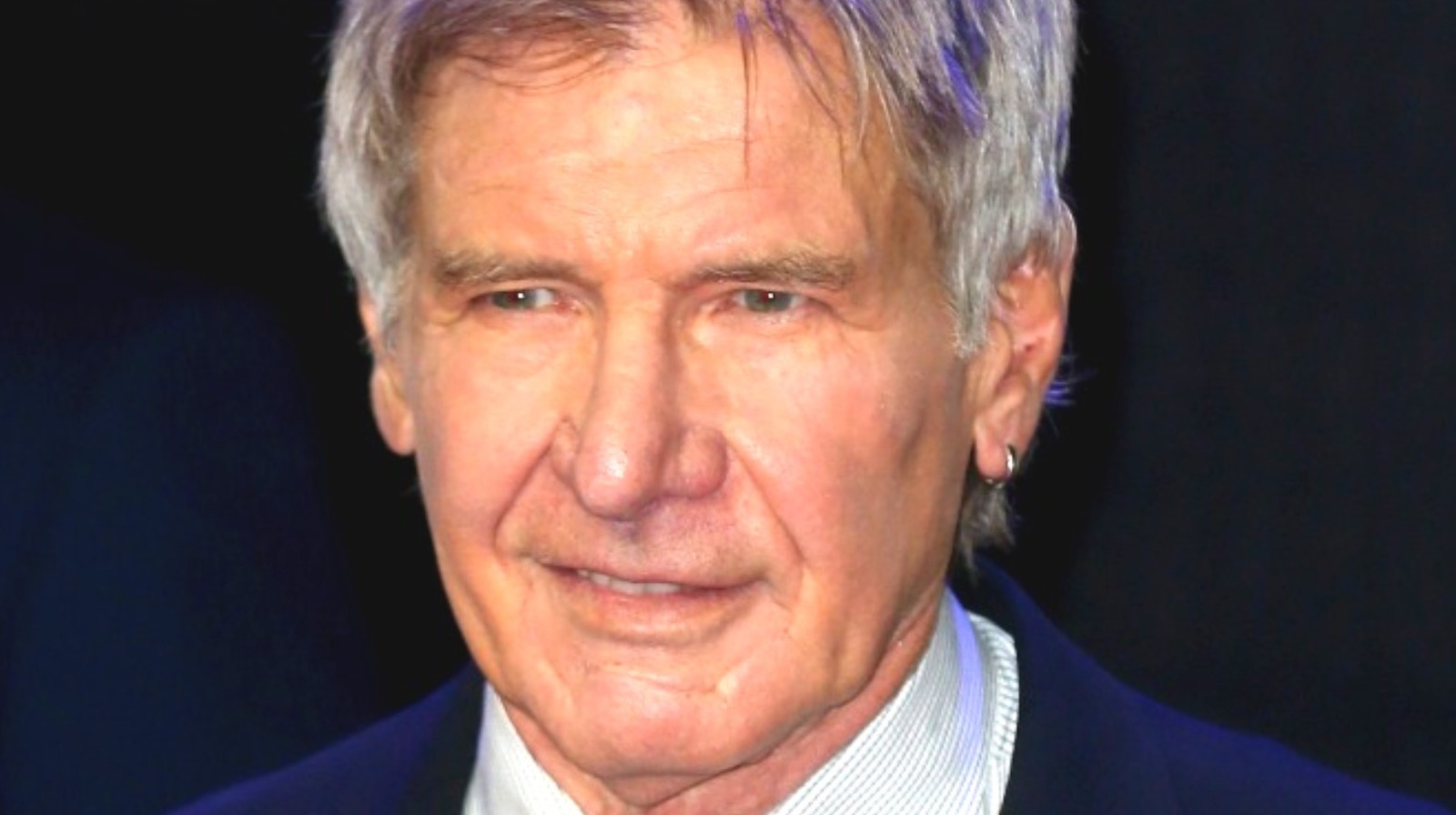 Harrison Ford's Fame Has Come At A Hefty Cost