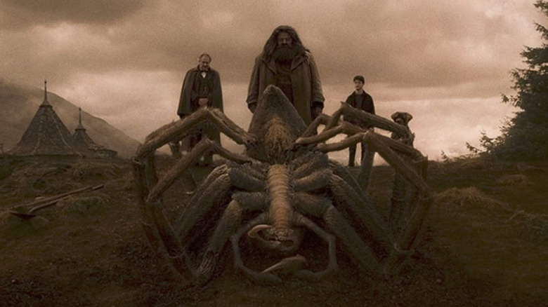 Hagrid approaches Aragog