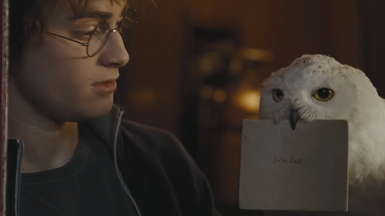 Hedwig holding a letter