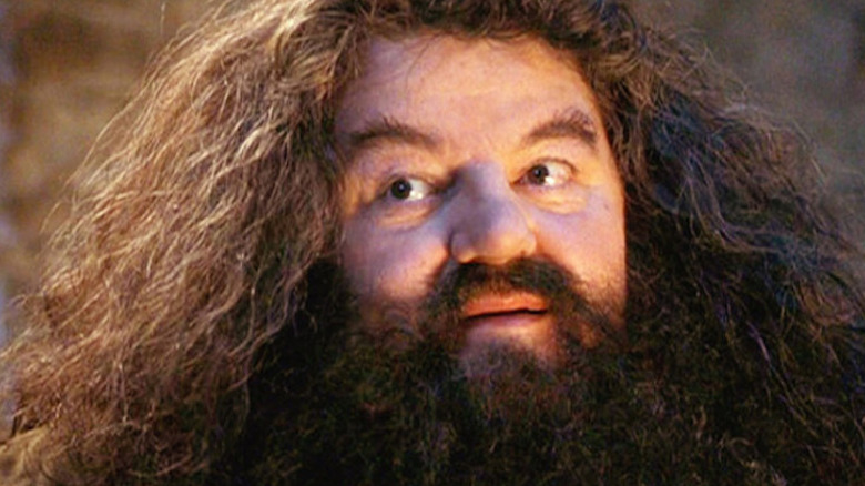 Hagrid smiles in close-up