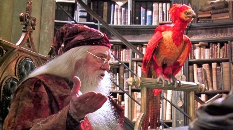 Dumbledore Harry Potter speaks to Fawkes