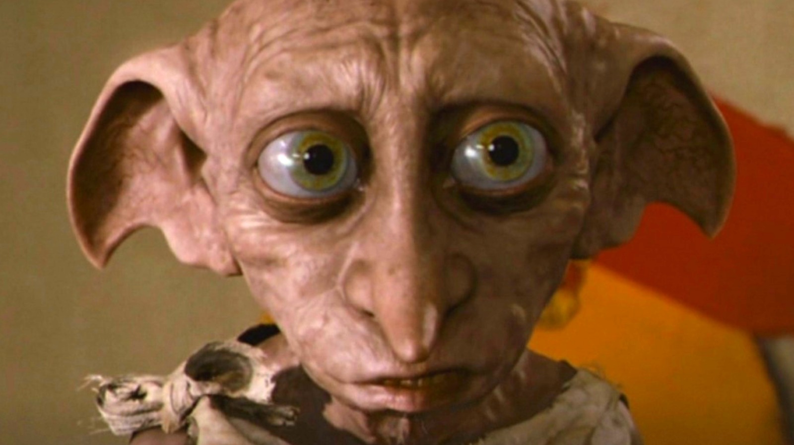 https://www.looper.com/img/gallery/harry-potter-fans-lay-down-some-harsh-opinions-on-dobby/l-intro-1658515444.jpg