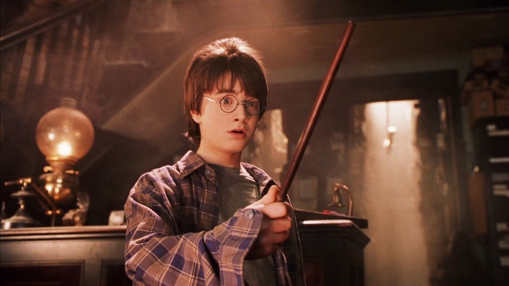 Harry Potter gets wand