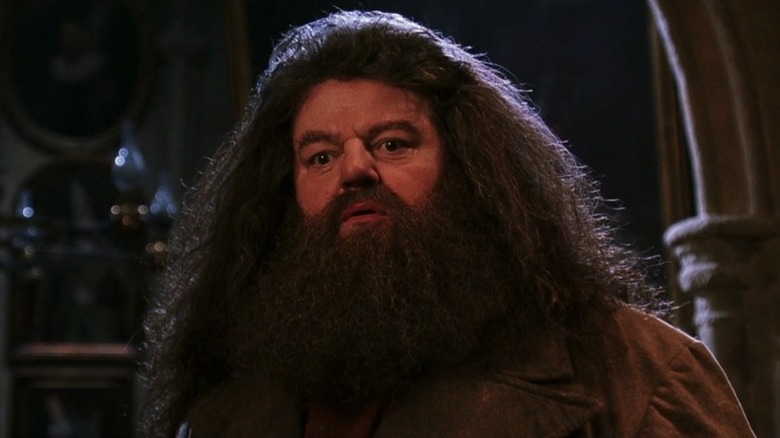 Hagrid looking quizzical